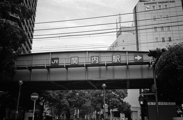 ���U���ʐ^�A���o�� f-2013.06.30Yokohama-Ikon-Summaron35mmF3.5-BW400CN-28.jpg 2013.06.30<BR>���l<BR>IKON Summaron35/3.5<BR>BW400CN