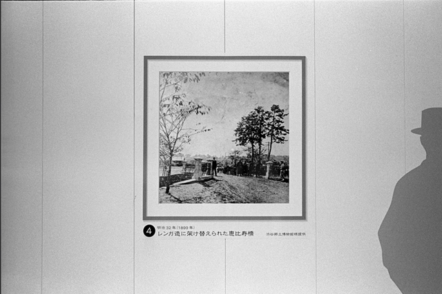���U���ʐ^�A���o�� f-2013.07.06Ebisu-IKON-Summaron35mmF3.5-400TX-024.jpg 2013.07.06<BR>����<BR>IKON Summaron35/3.5<BR>400TX D76 1:1
