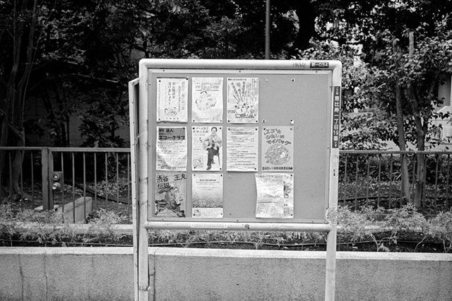 ���U���ʐ^�A���o�� f-2013.07.06Ebisu-IKON-Summaron35mmF3.5-400TX-028.jpg 2013.07.06<BR>����<BR>IKON Summaron35/3.5<BR>400TX D76 1:1