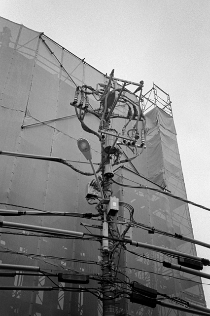 ���U���ʐ^�A���o�� f-2013.07.06Ebisu-IKON-Summaron35mmF3.5-400TX-030.jpg 2013.07.06<BR>����<BR>IKON Summaron35/3.5<BR>400TX D76 1:1