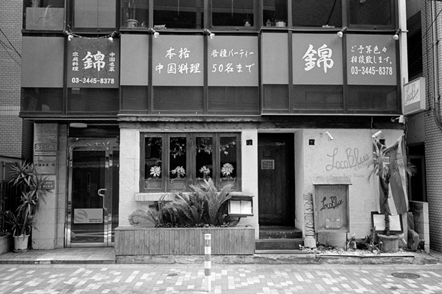 ���U���ʐ^�A���o�� f-2013.07.06Ebisu-IKON-Summaron35mmF3.5-400TX-042.jpg 2013.07.06<BR>����<BR>IKON Summaron35/3.5<BR>400TX D76 1:1