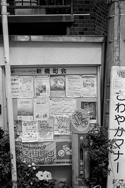 ���U���ʐ^�A���o�� f-2013.07.06Ebisu-IKON-Summaron35mmF3.5-400TX-045.jpg 2013.07.06<BR>����<BR>IKON Summaron35/3.5<BR>400TX D76 1:1
