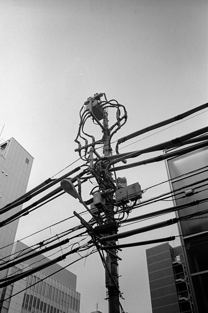 ���U���ʐ^�A���o�� f-2013.07.06Ebisu-IKON-Summaron35mmF3.5-400TX-048.jpg 2013.07.06<BR>����<BR>IKON Summaron35/3.5<BR>400TX D76 1:1