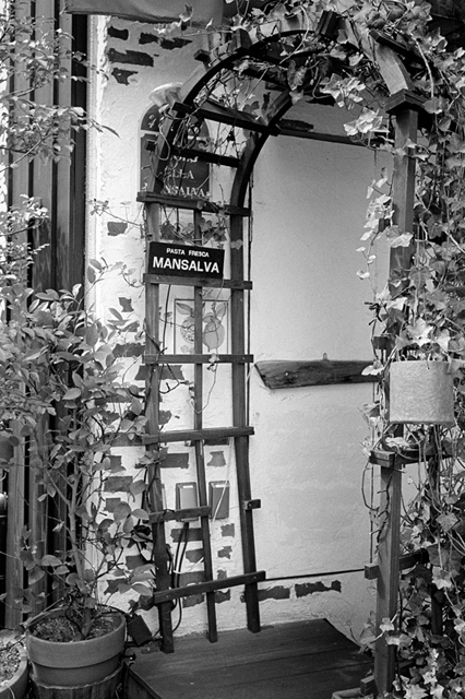 ���U���ʐ^�A���o�� f-2013.07.06Ebisu-IKON-Summaron35mmF3.5-400TX-053.jpg 2013.07.06<BR>����<BR>IKON Summaron35/3.5<BR>400TX D76 1:1