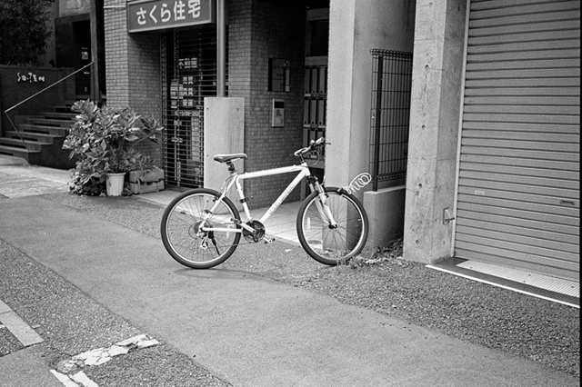 ���U���ʐ^�A���o�� f-2013.07.06Ebisu-IKON-Summaron35mmF3.5-400TX-058.jpg 2013.07.06<BR>����<BR>IKON Summaron35/3.5<BR>400TX D76 1:1