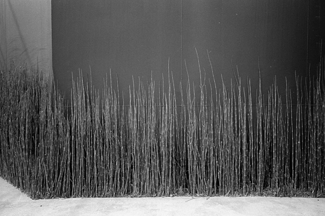 ���U���ʐ^�A���o�� f-2013.07.06Ebisu-IKON-Summaron35mmF3.5-400TX-063.jpg 2013.07.06<BR>����<BR>IKON Summaron35/3.5<BR>400TX D76 1:1