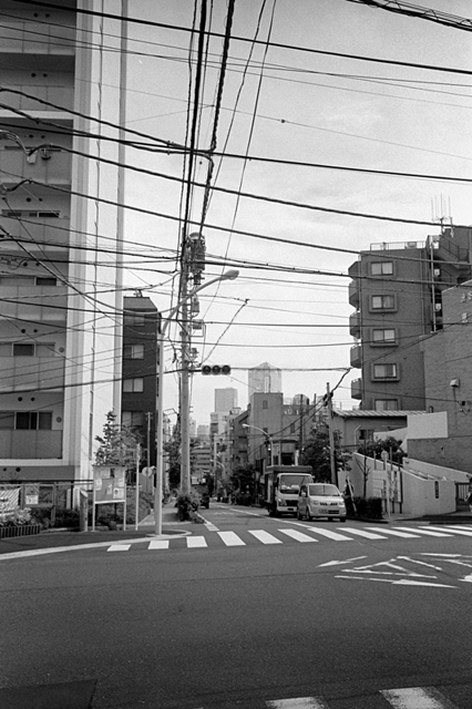 ���U���ʐ^�A���o�� f-2013.07.06Ebisu-IKON-Summaron35mmF3.5-400TX-064.jpg 2013.07.06<BR>����<BR>IKON Summaron35/3.5<BR>400TX D76 1:1