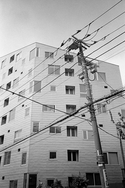 ���U���ʐ^�A���o�� f-2013.07.06Ebisu-IKON-Summaron35mmF3.5-400TX-067.jpg 2013.07.06<BR>����<BR>IKON Summaron35/3.5<BR>400TX D76 1:1