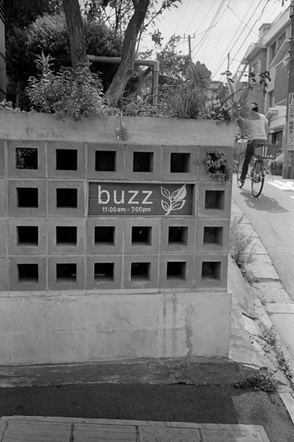 ���U���ʐ^�A���o�� f-2013.07.06Ebisu-IKON-Summaron35mmF3.5-400TX-069.jpg 2013.07.06<BR>����<BR>IKON Summaron35/3.5<BR>400TX D76 1:1
