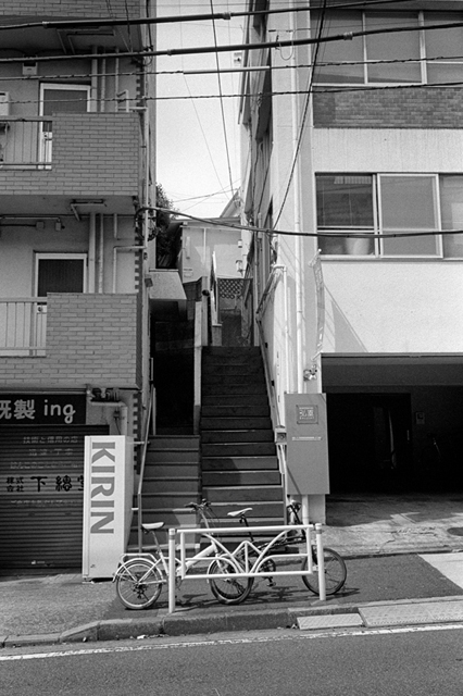 ���U���ʐ^�A���o�� f-2013.07.06Ebisu-IKON-Summaron35mmF3.5-400TX-072.jpg 2013.07.06<BR>����<BR>IKON Summaron35/3.5<BR>400TX D76 1:1