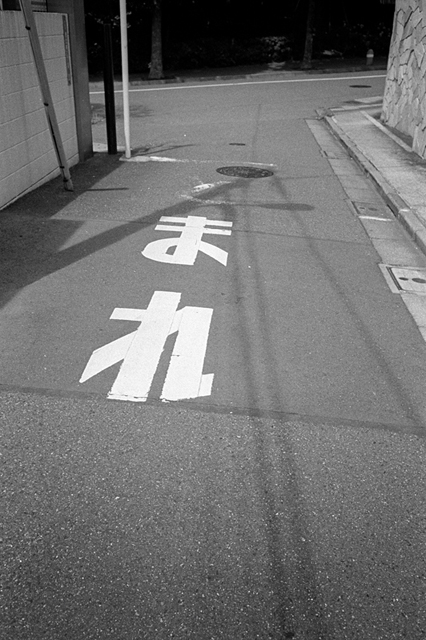 ���U���ʐ^�A���o�� f-2013.07.06Ebisu-IKON-Summaron35mmF3.5-400TX-075.jpg 2013.07.06<BR>����<BR>IKON Summaron35/3.5<BR>400TX D76 1:1