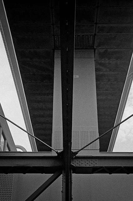 ���U���ʐ^�A���o�� f-2013.07.13Yokohama-IKON-Y2-Summaron35mmF3.5-400TX-030.jpg 2013.07.13<BR>���l<BR>IKON Y2 Summaron35/3.5<BR>400TX D76 1:1