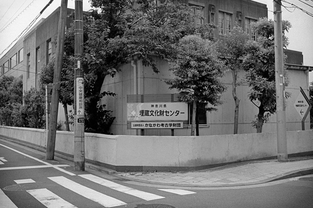 ���U���ʐ^�A���o�� f-2013.07.13Yokohama-IKON-Y2-Summaron35mmF3.5-400TX-032.jpg 2013.07.13<BR>���l<BR>IKON Y2 Summaron35/3.5<BR>400TX D76 1:1