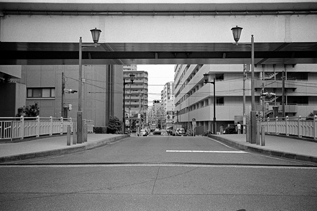 ���U���ʐ^�A���o�� f-2013.07.13Yokohama-IKON-Y2-Summaron35mmF3.5-400TX-037.jpg 2013.07.13<BR>���l<BR>IKON Y2 Summaron35/3.5<BR>400TX D76 1:1
