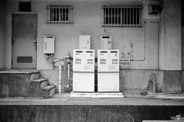 ���U���ʐ^�A���o�� f-2013.07.13Yokohama-IKON-Y2-Summaron35mmF3.5-400TX-038.jpg 2013.07.13<BR>���l<BR>IKON Y2 Summaron35/3.5<BR>400TX D76 1:1
