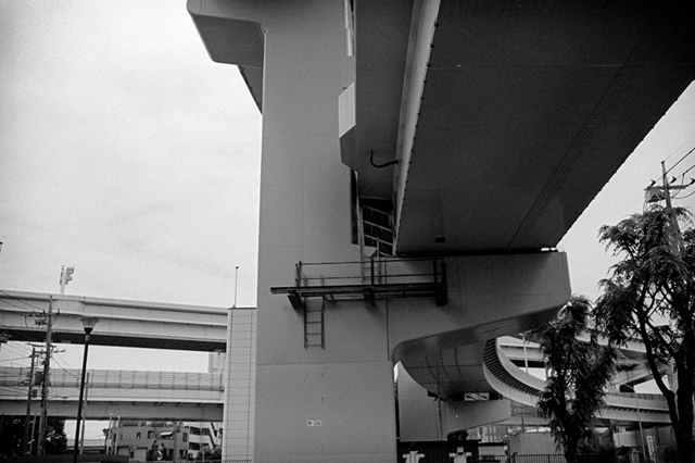 ���U���ʐ^�A���o�� f-2013.07.13Yokohama-IKON-Y2-Summaron35mmF3.5-400TX-039.jpg 2013.07.13<BR>���l<BR>IKON Y2 Summaron35/3.5<BR>400TX D76 1:1