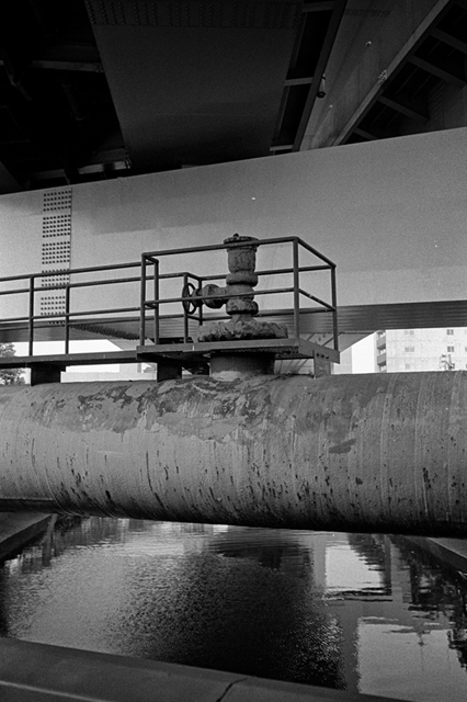 ���U���ʐ^�A���o�� f-2013.07.13Yokohama-IKON-Y2-Summaron35mmF3.5-400TX-041.jpg 2013.07.13<BR>���l<BR>IKON Y2 Summaron35/3.5<BR>400TX D76 1:1