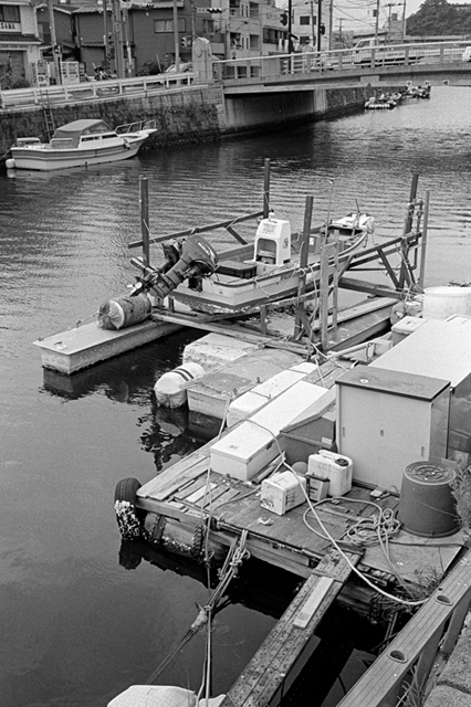 ���U���ʐ^�A���o�� f-2013.07.13Yokohama-IKON-Y2-Summaron35mmF3.5-400TX-042.jpg 2013.07.13<BR>���l<BR>IKON Y2 Summaron35/3.5<BR>400TX D76 1:1