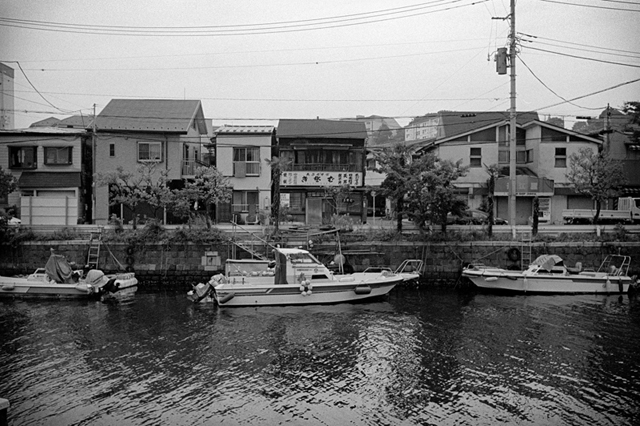 ���U���ʐ^�A���o�� f-2013.07.13Yokohama-IKON-Y2-Summaron35mmF3.5-400TX-043.jpg 2013.07.13<BR>���l<BR>IKON Y2 Summaron35/3.5<BR>400TX D76 1:1