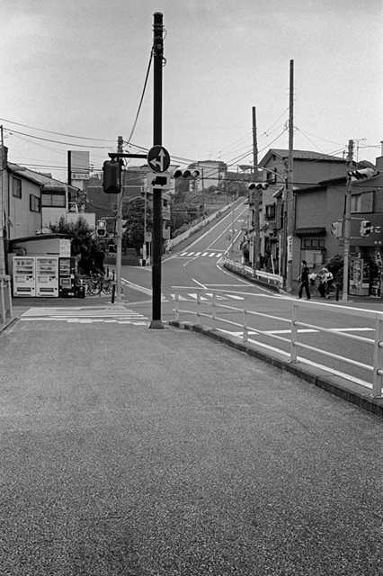���U���ʐ^�A���o�� f-2013.07.13Yokohama-IKON-Y2-Summaron35mmF3.5-400TX-044.jpg 2013.07.13<BR>���l<BR>IKON Y2 Summaron35/3.5<BR>400TX D76 1:1