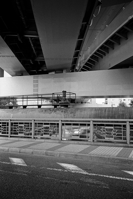 ���U���ʐ^�A���o�� f-2013.07.13Yokohama-IKON-Y2-Summaron35mmF3.5-400TX-045.jpg 2013.07.13<BR>���l<BR>IKON Y2 Summaron35/3.5<BR>400TX D76 1:1