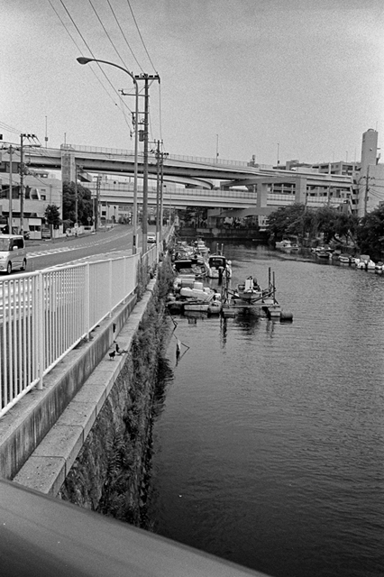 ���U���ʐ^�A���o�� f-2013.07.13Yokohama-IKON-Y2-Summaron35mmF3.5-400TX-046.jpg 2013.07.13<BR>���l<BR>IKON Y2 Summaron35/3.5<BR>400TX D76 1:1