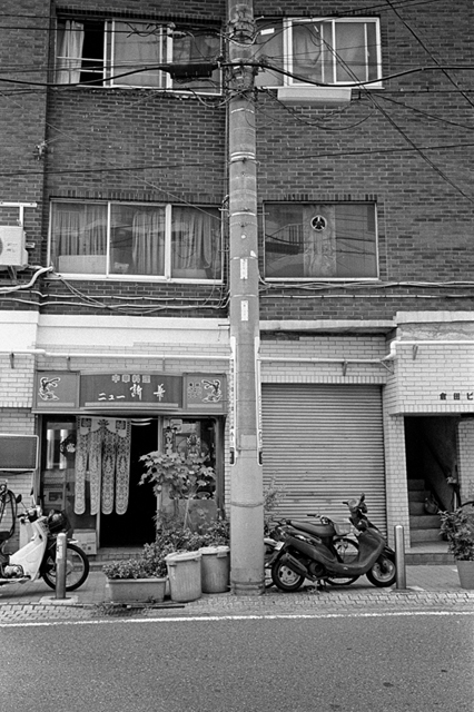 ���U���ʐ^�A���o�� f-2013.07.13Yokohama-IKON-Y2-Summaron35mmF3.5-400TX-047.jpg 2013.07.13<BR>���l<BR>IKON Y2 Summaron35/3.5<BR>400TX D76 1:1