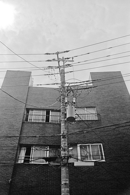 ���U���ʐ^�A���o�� f-2013.07.13Yokohama-IKON-Y2-Summaron35mmF3.5-400TX-049.jpg 2013.07.13<BR>���l<BR>IKON Y2 Summaron35/3.5<BR>400TX D76 1:1