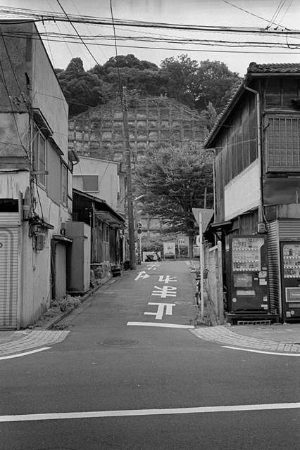 ���U���ʐ^�A���o�� f-2013.07.13Yokohama-IKON-Y2-Summaron35mmF3.5-400TX-050.jpg 2013.07.13<BR>���l<BR>IKON Y2 Summaron35/3.5<BR>400TX D76 1:1