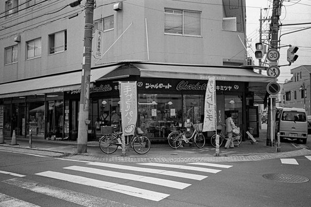 ���U���ʐ^�A���o�� f-2013.07.13Yokohama-IKON-Y2-Summaron35mmF3.5-400TX-052.jpg 2013.07.13<BR>���l<BR>IKON Y2 Summaron35/3.5<BR>400TX D76 1:1