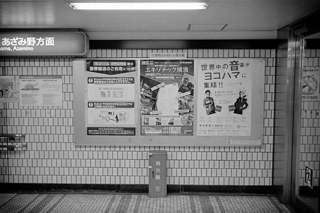 ���U���ʐ^�A���o�� f-2013.07.13Yokohama-IKON-Y2-Summaron35mmF3.5-400TX-057.jpg 2013.07.13<BR>���l<BR>IKON Y2 Summaron35/3.5<BR>400TX D76 1:1