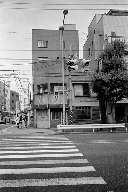 ���U���ʐ^�A���o�� f-2013.07.13Yokohama-IKON-Y2-Summaron35mmF3.5-400TX-058.jpg 2013.07.13<BR>���l<BR>IKON Y2 Summaron35/3.5<BR>400TX D76 1:1