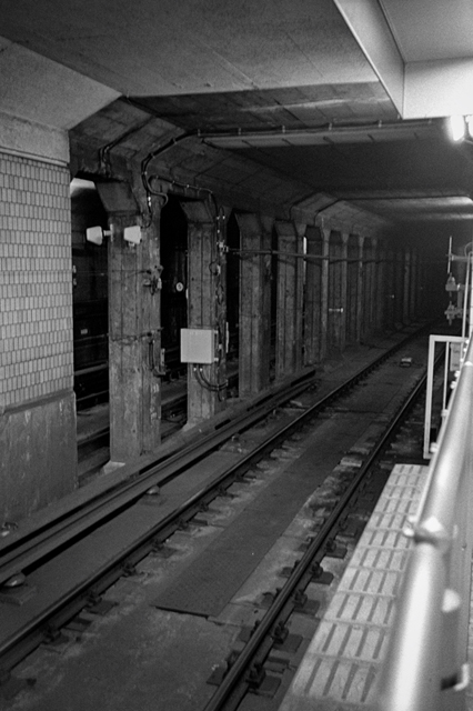 ���U���ʐ^�A���o�� f-2013.07.13Yokohama-IKON-Y2-Summaron35mmF3.5-400TX-060.jpg 2013.07.13<BR>���l<BR>IKON Y2 Summaron35/3.5<BR>400TX D76 1:1