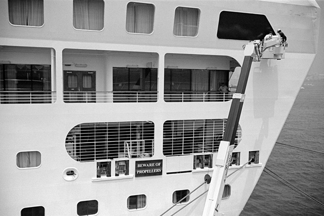���U���ʐ^�A���o�� f-2013.07.14Yokohama-IKON-Y2-Summaron35mmF3.5-400TX-39.jpg 2013.07.14<BR>���l<BR>IKON Y2 Summaron35/3.5<BR>400TX D76 1:1