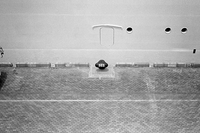 ���U���ʐ^�A���o�� f-2013.07.14Yokohama-IKON-Y2-Summaron35mmF3.5-400TX-43.jpg 2013.07.14<BR>���l<BR>IKON Y2 Summaron35/3.5<BR>400TX D76 1:1
