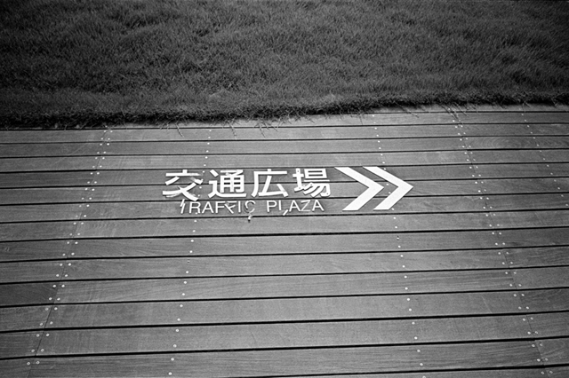 ���U���ʐ^�A���o�� f-2013.07.14Yokohama-IKON-Y2-Summaron35mmF3.5-400TX-44.jpg 2013.07.14<BR>���l<BR>IKON Y2 Summaron35/3.5<BR>400TX D76 1:1