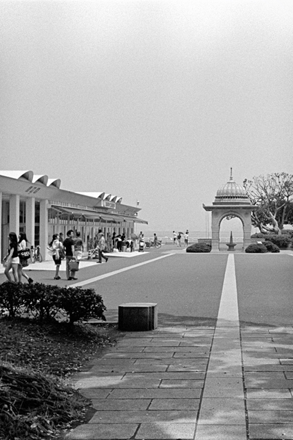 ���U���ʐ^�A���o�� f-2013.07.14Yokohama-IKON-Y2-Summaron35mmF3.5-400TX-45.jpg 2013.07.14<BR>���l<BR>IKON Y2 Summaron35/3.5<BR>400TX D76 1:1