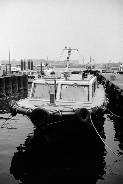 ���U���ʐ^�A���o�� f-2013.07.14Yokohama-IKON-Y2-Summaron35mmF3.5-400TX-46.jpg 2013.07.14<BR>���l<BR>IKON Y2 Summaron35/3.5<BR>400TX D76 1:1