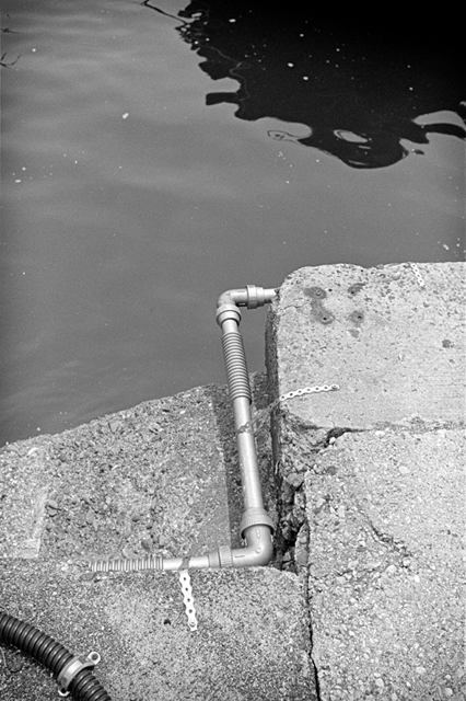 ���U���ʐ^�A���o�� f-2013.07.14Yokohama-IKON-Y2-Summaron35mmF3.5-400TX-47.jpg 2013.07.14<BR>���l<BR>IKON Y2 Summaron35/3.5<BR>400TX D76 1:1