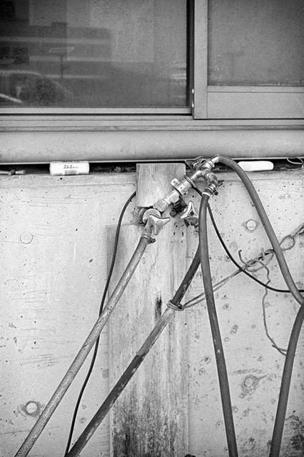 ���U���ʐ^�A���o�� f-2013.07.14Yokohama-IKON-Y2-Summaron35mmF3.5-400TX-48.jpg 2013.07.14<BR>���l<BR>IKON Y2 Summaron35/3.5<BR>400TX D76 1:1