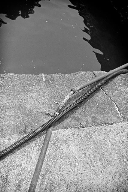 ���U���ʐ^�A���o�� f-2013.07.14Yokohama-IKON-Y2-Summaron35mmF3.5-400TX-49.jpg 2013.07.14<BR>���l<BR>IKON Y2 Summaron35/3.5<BR>400TX D76 1:1