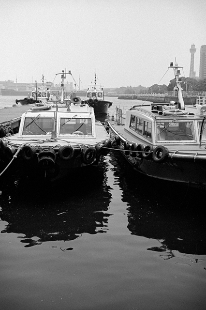 ���U���ʐ^�A���o�� f-2013.07.14Yokohama-IKON-Y2-Summaron35mmF3.5-400TX-50.jpg 2013.07.14<BR>���l<BR>IKON Y2 Summaron35/3.5<BR>400TX D76 1:1
