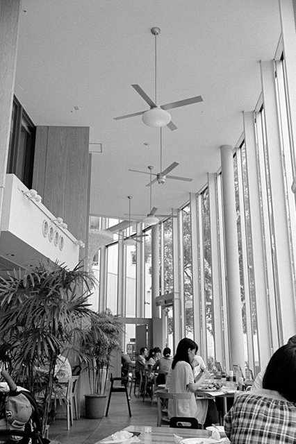 ���U���ʐ^�A���o�� f-2013.07.14Yokohama-IKON-Y2-Summaron35mmF3.5-400TX-51.jpg 2013.07.14<BR>���l<BR>IKON Y2 Summaron35/3.5<BR>400TX D76 1:1