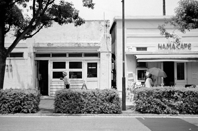 ���U���ʐ^�A���o�� f-2013.07.14Yokohama-IKON-Y2-Summaron35mmF3.5-400TX-53.jpg 2013.07.14<BR>���l<BR>IKON Y2 Summaron35/3.5<BR>400TX D76 1:1