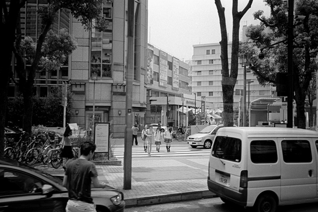 ���U���ʐ^�A���o�� f-2013.07.14Yokohama-IKON-Y2-Summaron35mmF3.5-400TX-57.jpg 2013.07.14<BR>���l<BR>IKON Y2 Summaron35/3.5<BR>400TX D76 1:1