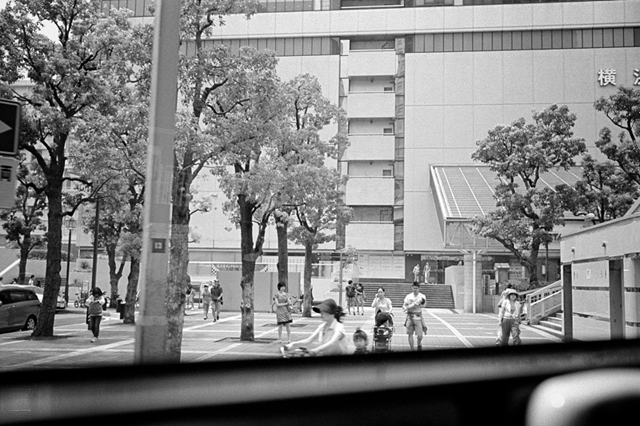 ���U���ʐ^�A���o�� f-2013.07.14Yokohama-IKON-Y2-Summaron35mmF3.5-400TX-59.jpg 2013.07.14<BR>���l<BR>IKON Y2 Summaron35/3.5<BR>400TX D76 1:1