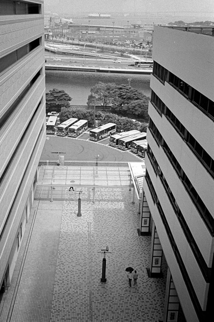 ���U���ʐ^�A���o�� f-2013.07.14Yokohama-IKON-Y2-Summaron35mmF3.5-400TX-60.jpg 2013.07.14<BR>���l<BR>IKON Y2 Summaron35/3.5<BR>400TX D76 1:1