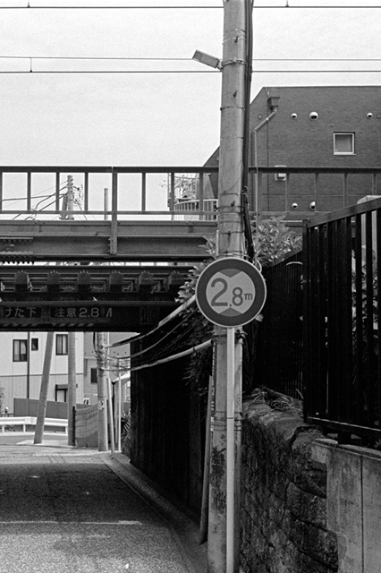 ���U���ʐ^�A���o�� f-2013.07.20Yokohama-IKON-Summicron35mmF2-400TX-36.jpg 2013.07.20<BR>���l<BR>IKON Summicron35/F2<BR>400TX D76 1:1