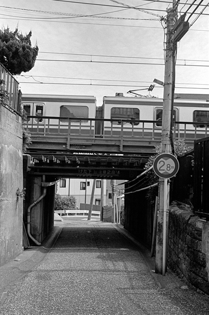 ���U���ʐ^�A���o�� f-2013.07.20Yokohama-IKON-Summicron35mmF2-400TX-40.jpg 2013.07.20<BR>���l<BR>IKON Summicron35/F2<BR>400TX D76 1:1