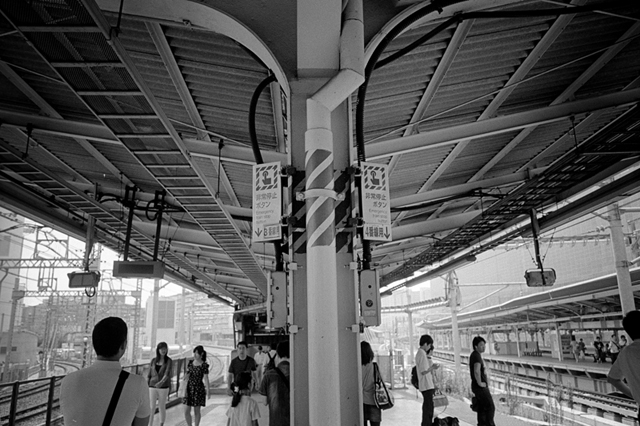 ���U���ʐ^�A���o�� f-2013.07.27Yokohama-IKON-GR28mmF2.8-400TX-40.jpg 2013.07.27<BR>���l<BR>IKON GR28/2.8<BR>400TX D76 1:1